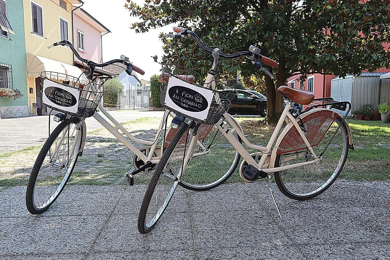 Bed & Breakfast Il Fiore All'Occhiello Lucca